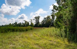 Vacant Pittman Hill Rd, Marianna, FL 32448