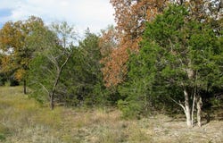 Lot 140 Ph 6 County Road 421, Evant, TX 76566