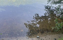 TBD EN-A-WEN-DA-WIN, Watersmeet, MI 49969