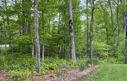 330 Cumberland Cove Rd, MONTEREY, TN 38574