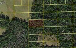 POLK CITY, POLK CITY, FL 33868