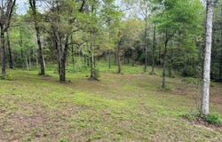 85 Baughman Rd, Poplarville, MS 39470