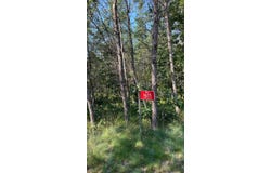 1615 Campfire Road, Nekoosa, WI 54457