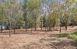 000  Old  Hwy 64, Knoxville, AR 72845