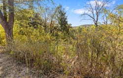 Lot 27 Peaceful  PL, Harrison, AR 72601