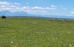 Turkey Ridge E, Walsenburg, CO 81089