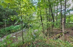0 MILE LANE Road, PA 18840