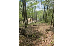 000 wolfe lake rd Road, Campton, KY 41301