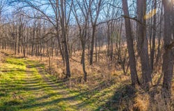 W24255 Benrud Ln, Galesville, WI 54630