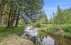 8110 Nature Ridge Trail, Vanderbilt, MI 49795