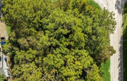 2115 86TH DRIVE, VERO BEACH, FL 32966