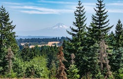 20990 SW JAQUITH RD, Newberg, OR 97132