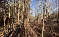 NE Furrs Mill Drive, Wesson, MS 39191