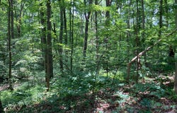 Lot 1223 N LAKESHORE DRIVE, LOUISA, VA 23093