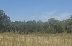 525 Tx-114, Boyd, TX 76078