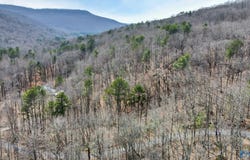 3.36 Acres Blowing Cave Road, Gurley, AL 35748