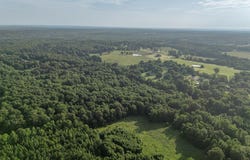 33 acres M/L Greene 710, Paragould, AR 72450
