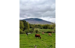 15 Wind Hill Road, Manchester, VT 05255
