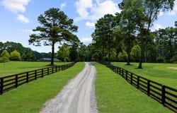 16280 Clarity Rd, Alpharetta, GA 30004
