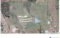 121 BLACK BOTTOM ROAD, BOAZ, AL 35956