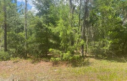 7 SHAPPELL Avenue, Interlachen, FL 32148