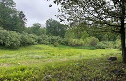 183 Saddle Creek Drive, Mount Bethel, PA 18343
