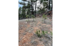 private dr lot: R-56, Chama, NM 87520