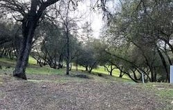 326 Mill Court, Angels Camp, CA 95222