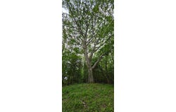 Parcel B Northumberland Hwy, HEATHSVILLE, VA 22473