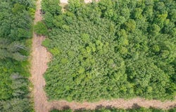 Tract D Polaris, Mission Twp, MN 56465