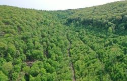 000 Hwy 44, Oswayo, PA 16915