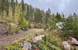 1374 Jicarilla Trl, Red Feather Lakes, CO 80545