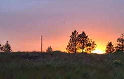 20307 W STERLING Rd, Cheney, WA 99004