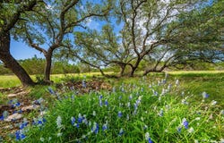 229 Lost Man Rd, Mountain Home, TX 78058