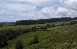 1-3 PRIVATE RD, Hakalau, HI 96710