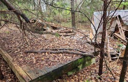 91 Rest Road, Waterloo, SC 29384
