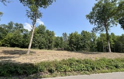 Ditney Trail Tr, Pioneer, TN 37847