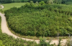 1150 County Road 865, Collinsville, AL 35961