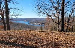 19 Last Chance Lane, Gravois Mills, MO 65037