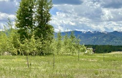 87 & 95 BISON DRIVE, Victor, ID 83455
