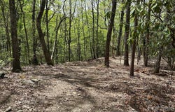 John Delk Road, Hendersonville, NC 28792