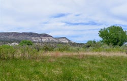 Lots 1 & 2 off of CR-162, Abiquiu, NM 87510