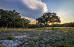 230 Bush Bok DR, Burnet, TX 78611