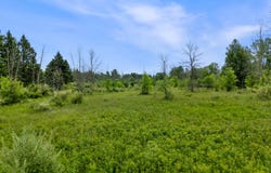 13600 N Lake Shore Dr, Mequon, WI 53092
