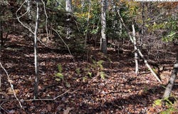 Hews Circle, Blowing Rock, NC 28605