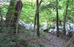 11590 DURANGO DRIVE, LUSBY, MD 20657