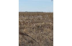 CR 168, Haskell, TX 75921