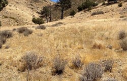 3200 Shadow Mountain DR, Lake Isabella, CA 93240