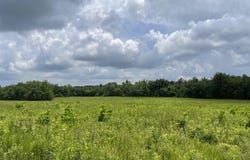 0 Roe Road, Sharon Grove, KY 42280