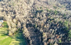Town N Country Drive, Wilkesboro, NC 28697